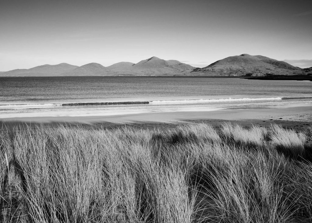 L'herbe de dunes, plage en montagne