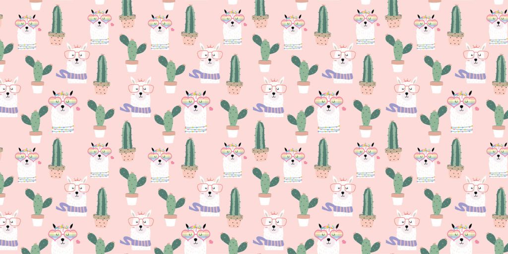 Cactus et lamas