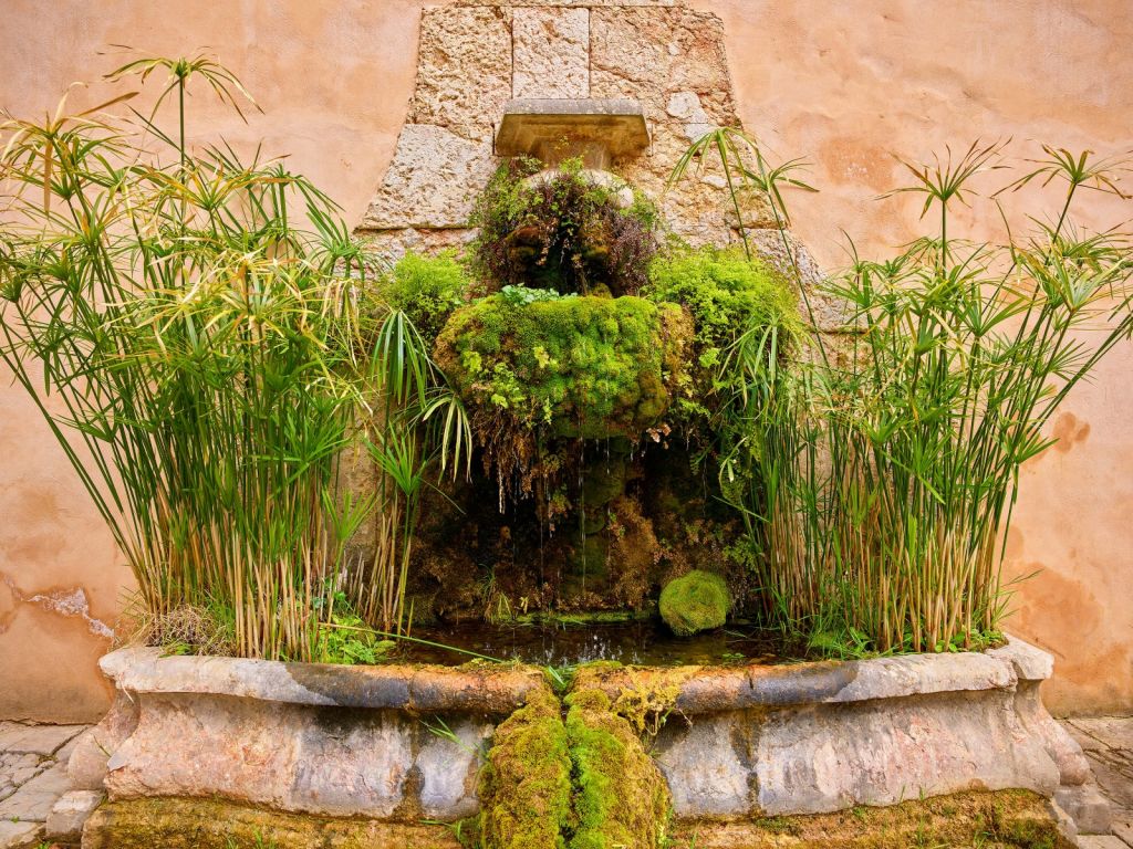 Ancien étang