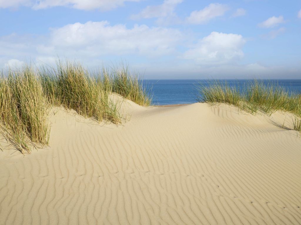 Passage des dunes vers la plage