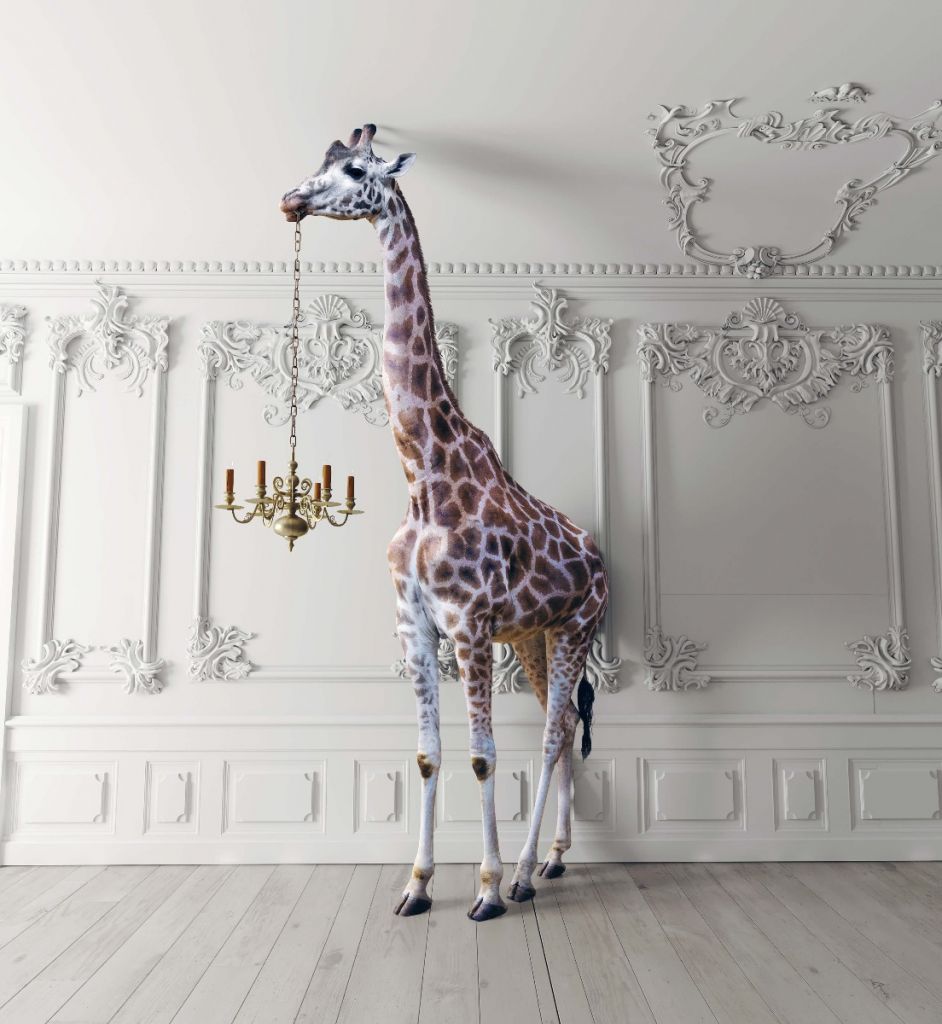 Girafe avec chandelier