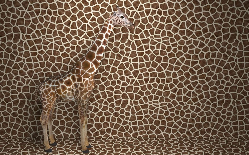Girafe camouflée