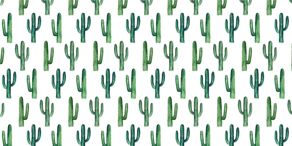Modèle de cactus