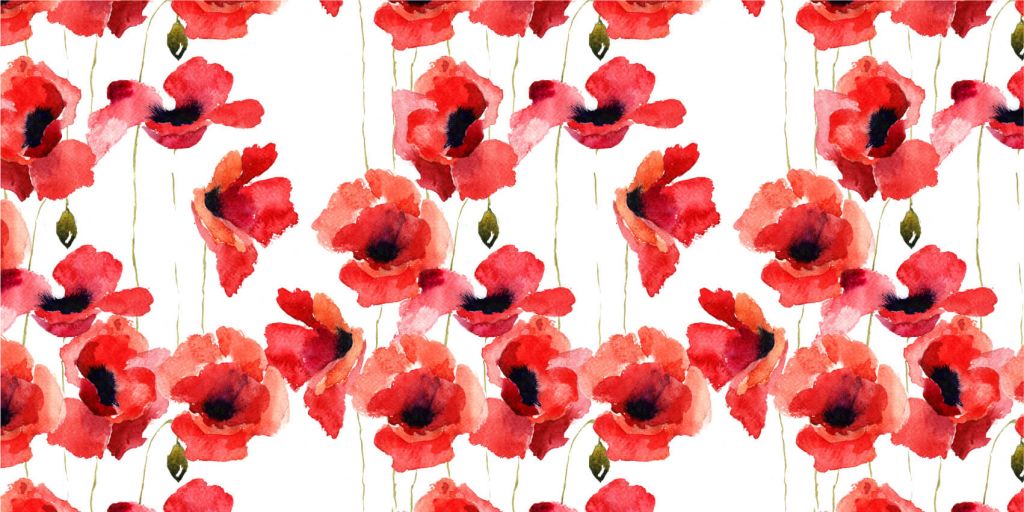 Des coquelicots à l'aquarelle