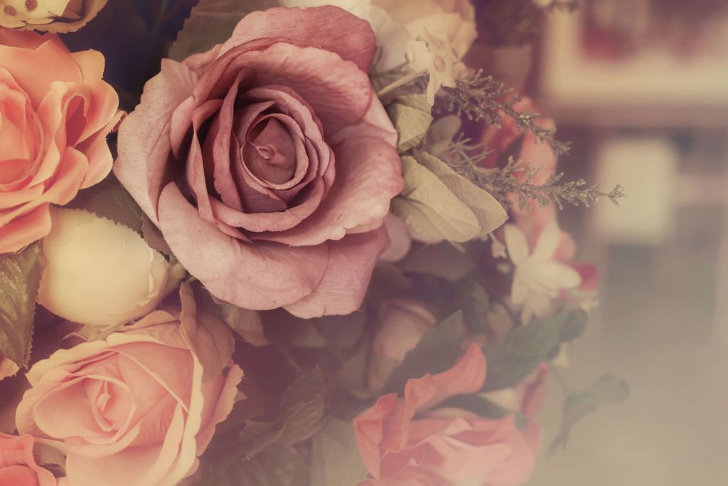 Roses roses vintage