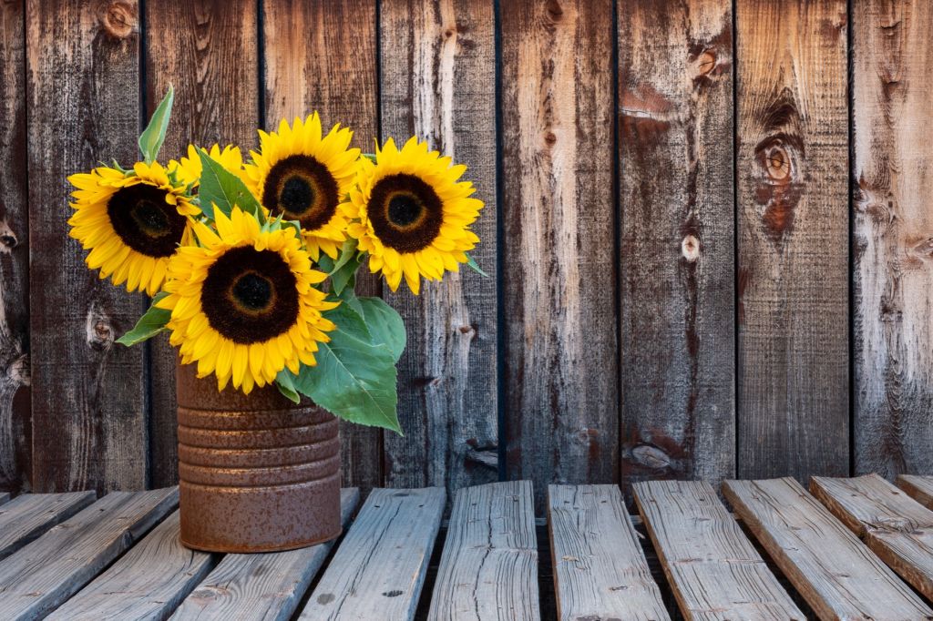 Vase avec des tournesols