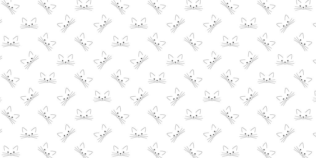 Le modèle des chats