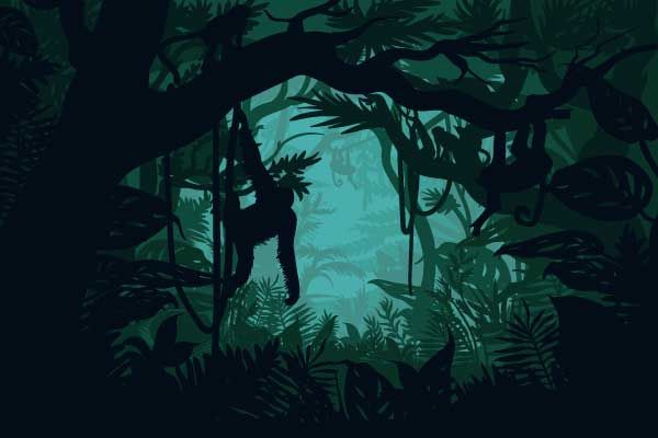 Singe dans la jungle