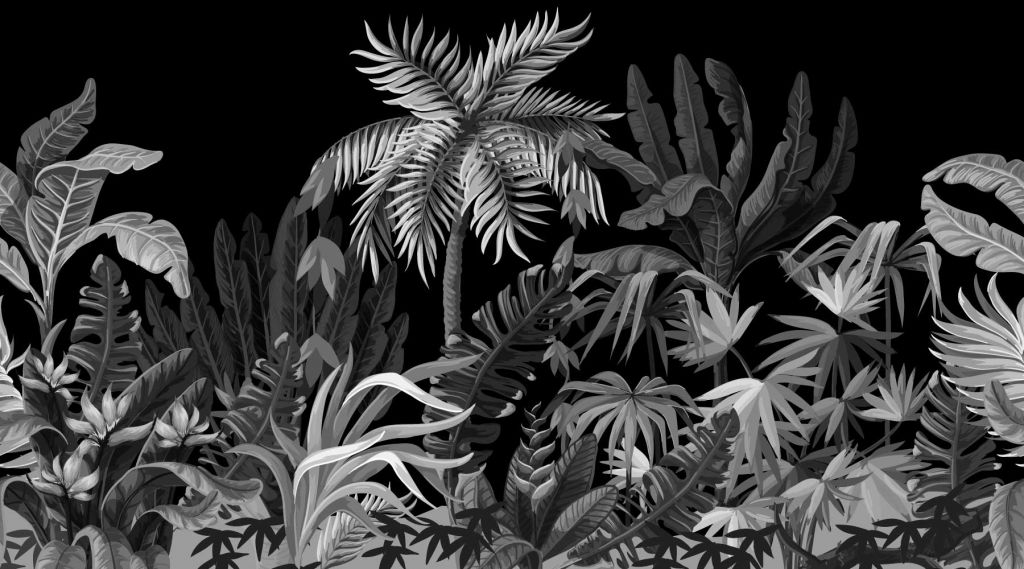 Jungle, noir