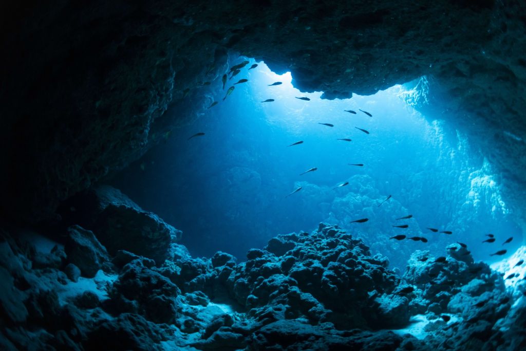 Grotte sous-marine avec des poissons