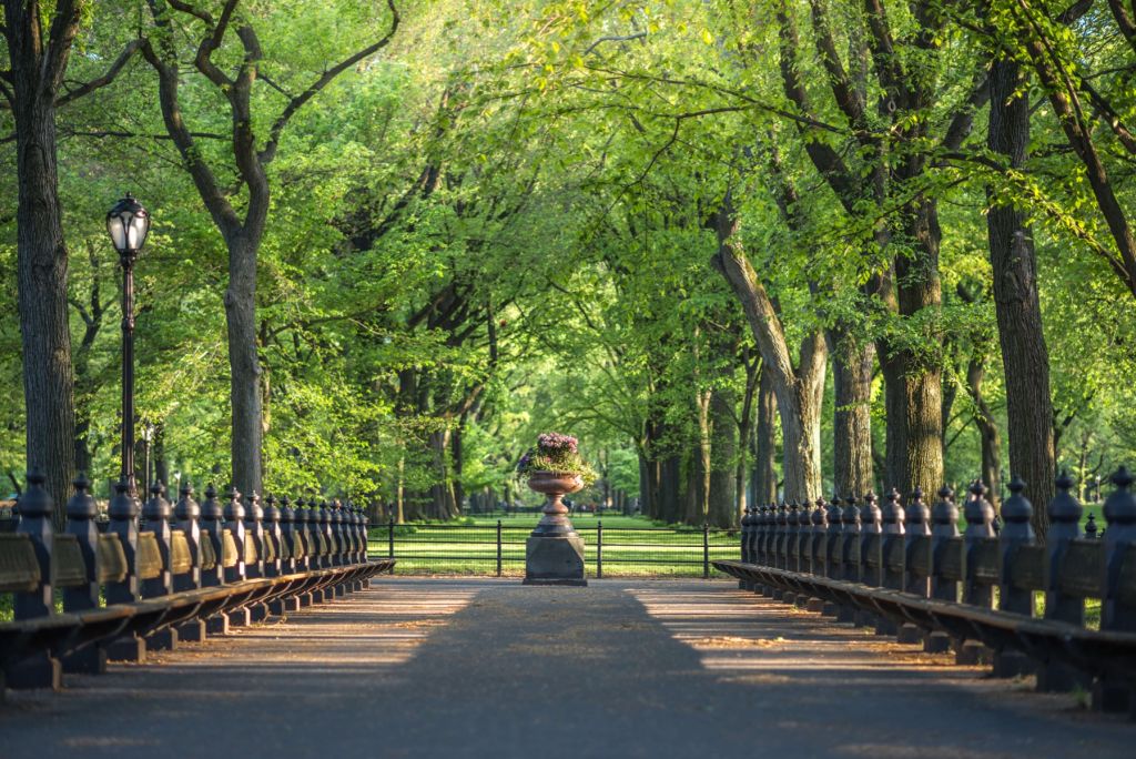 Sentier dans Central Park