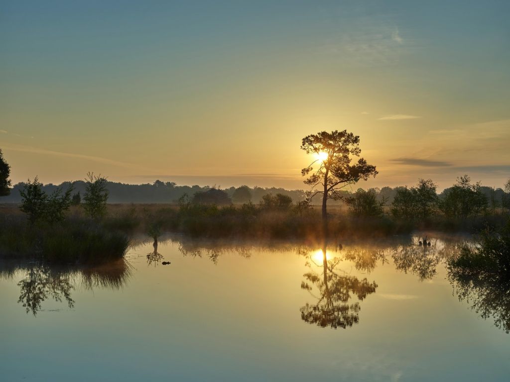 Lever de soleil à bosven