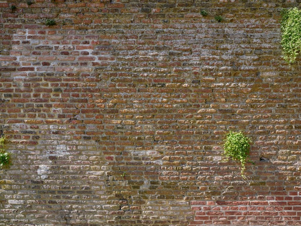 Ancien mur d'enceinte de la ville en pierre avec des plantes