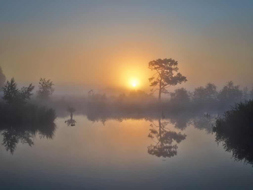 Lever de soleil brumeux