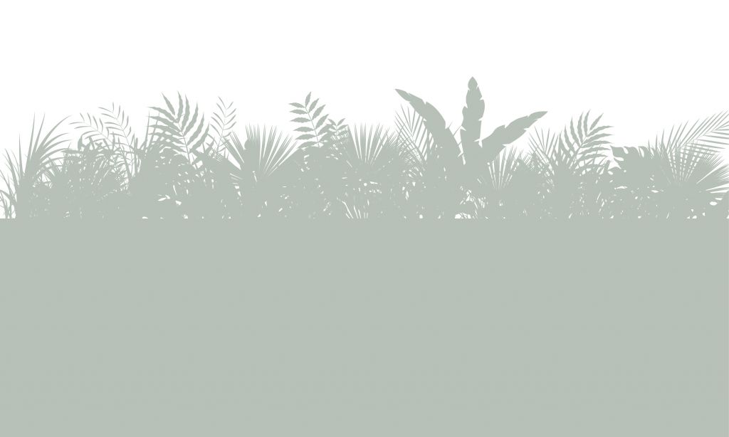 Silhouettes feuilles de palmier, vert clair