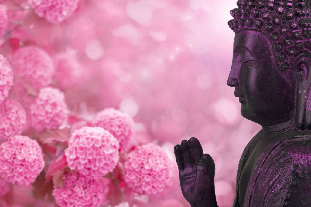 Fleurs de Bouddha