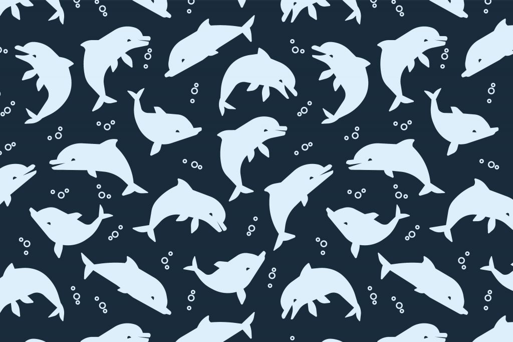 Dauphins et bulles