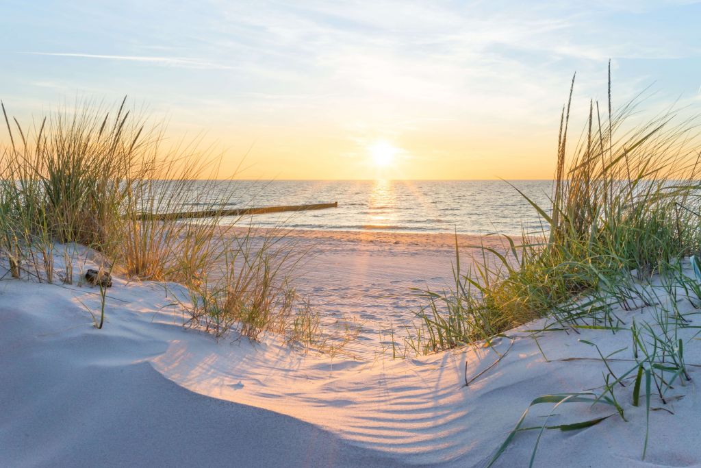 Plage de dunes avec coucher de soleil