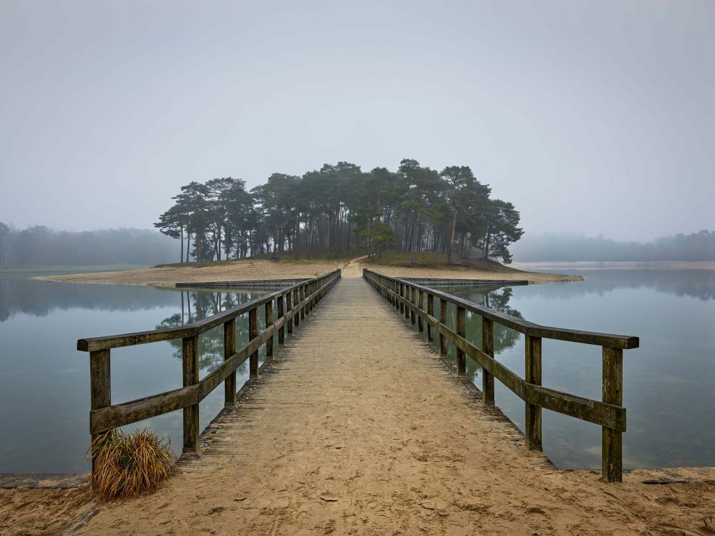 Une île dans le brouillard