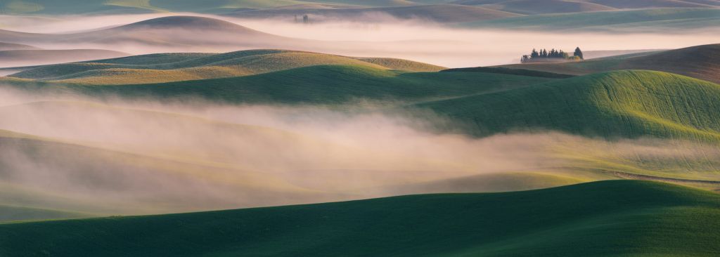Dream Land in Morning Mist