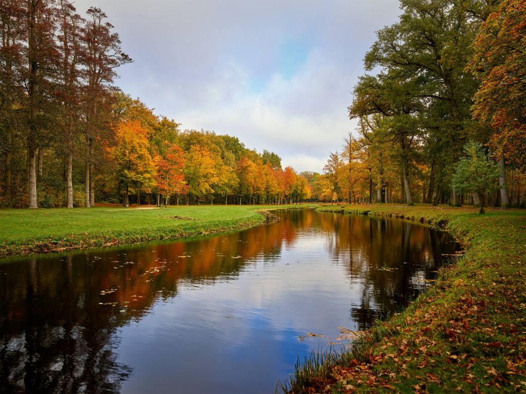 Forêt en automne