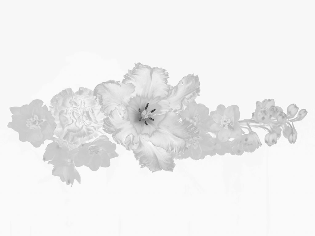 Bouquet floral noir et blanc