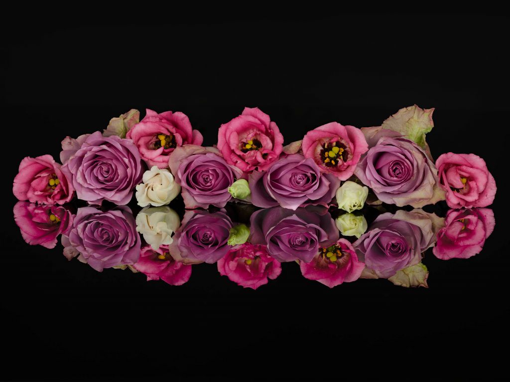 Bouquet de roses colorées