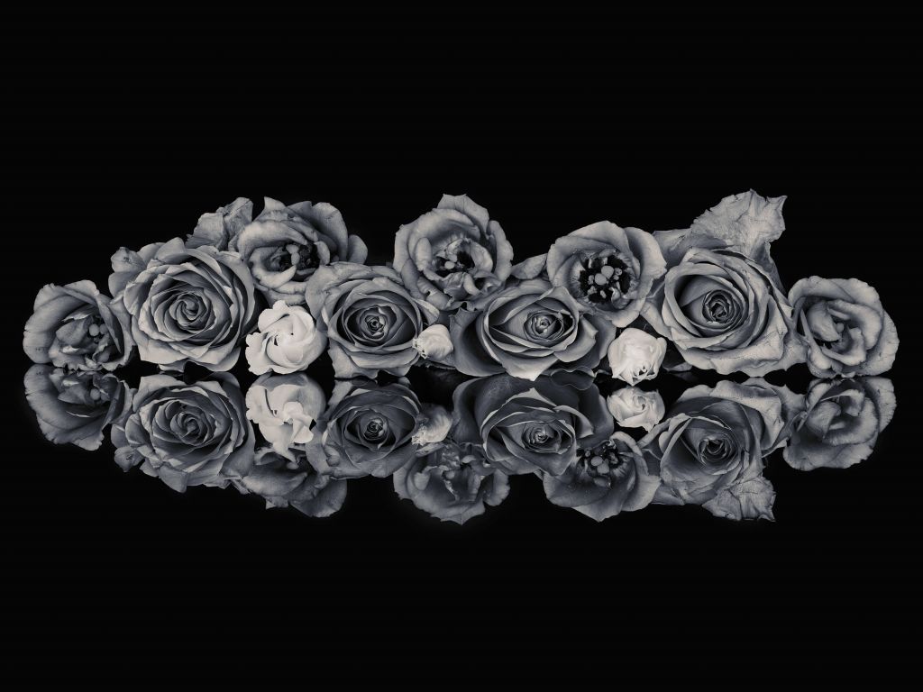 Bouquet de roses noir et blanc