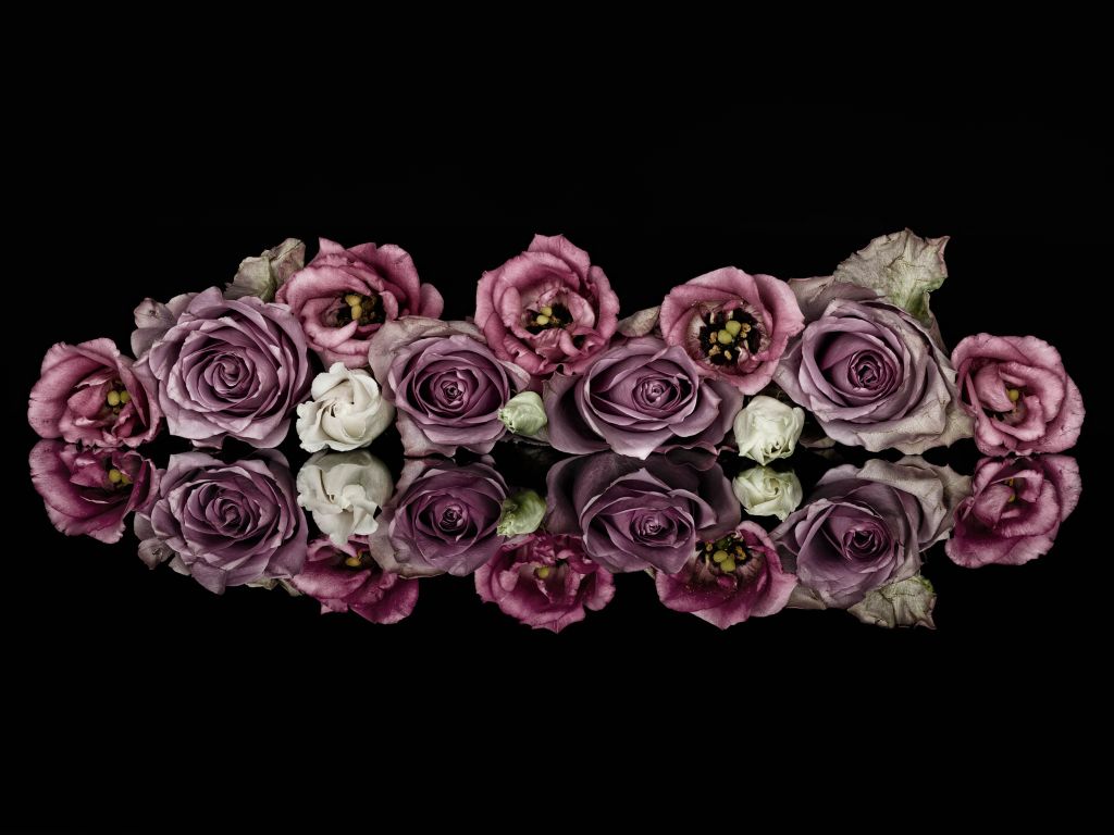 Bouquet de rose