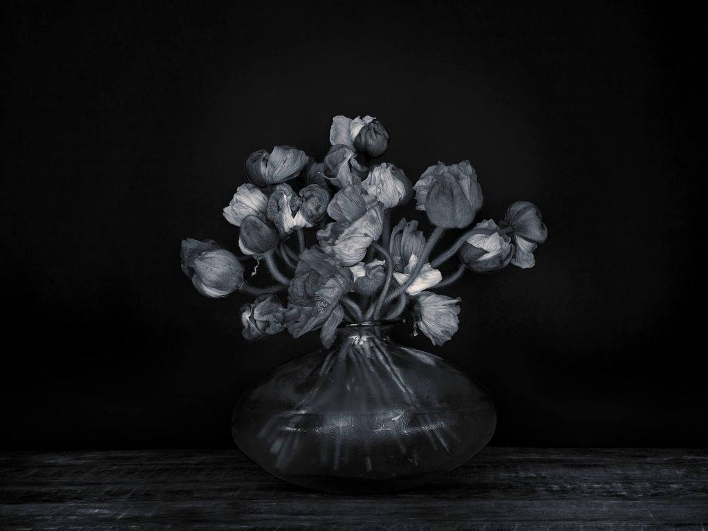 Fleurs pittoresques en noir et blanc