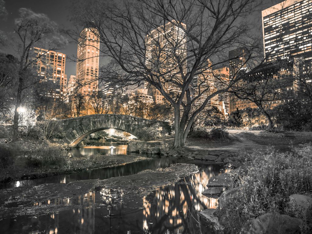 Central park en soirée