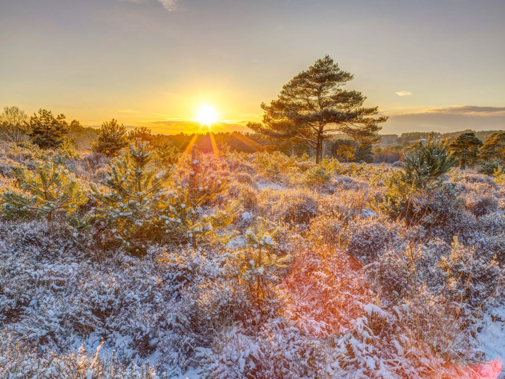 Coucher de soleil en hiver