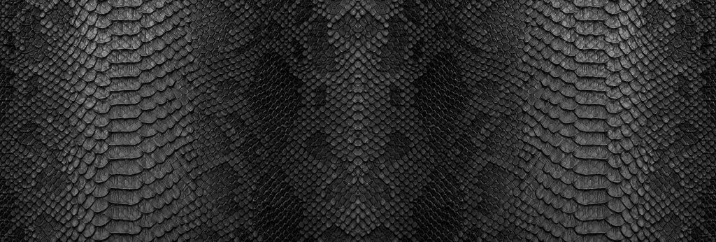 Peau de serpent
