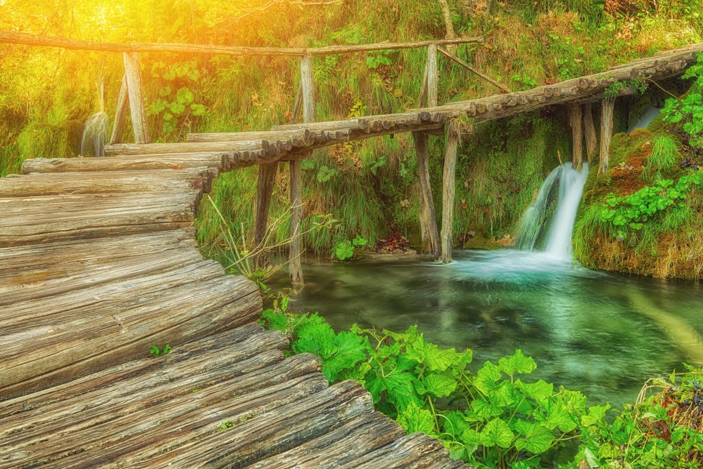 Pont en bois avec lumière du soleil