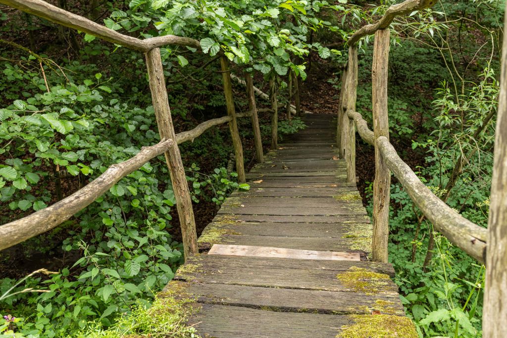 Photo d'ungros plan d'un pont de la jungle