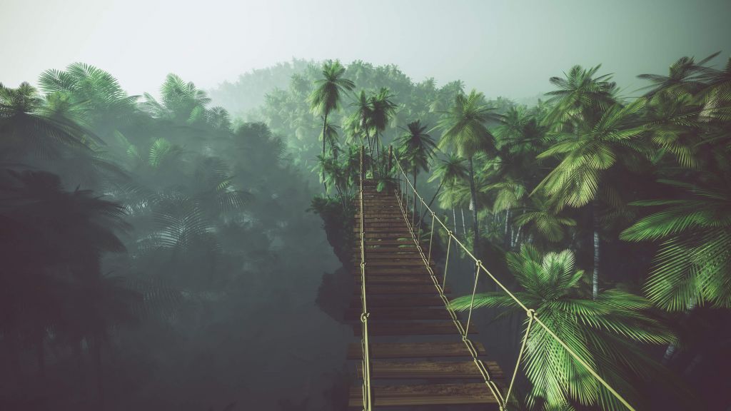 Pont de cordes dans le brouillard