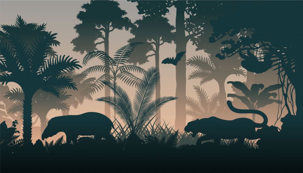 Silhouettes d'animaux en soirée