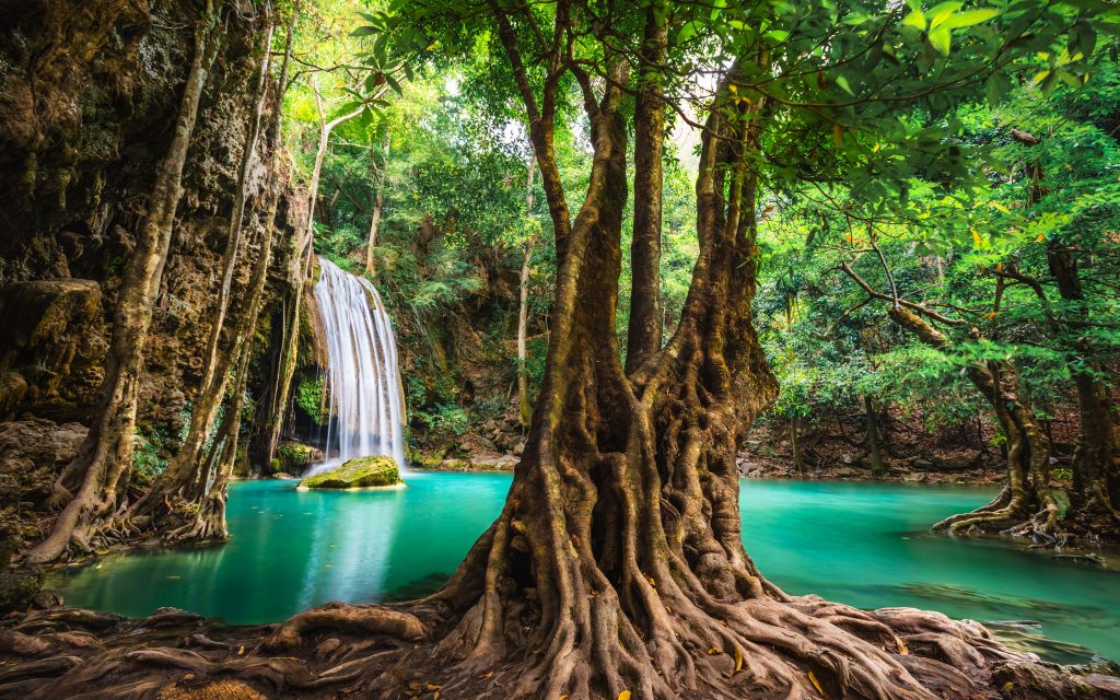 Chute d'eau dans la jungle tropicale