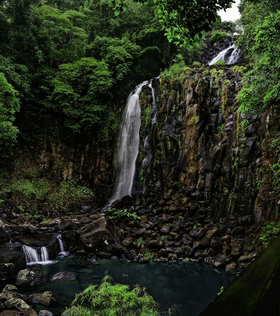 Chute d'eau Millaa Millaa