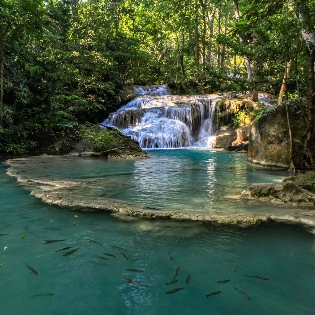 Pêche dans une chute d'eau