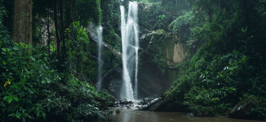 Chute d'eau dans la nature