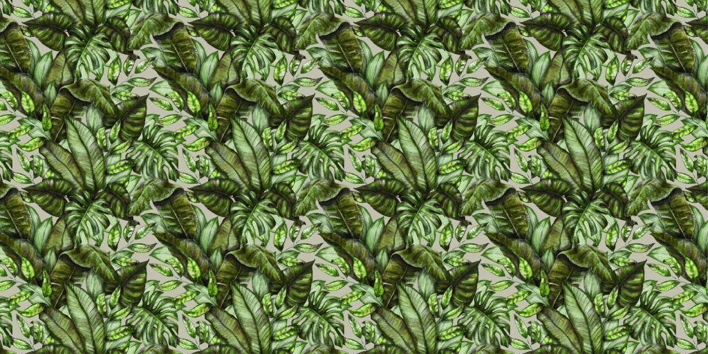 Diverses feuilles tropicales