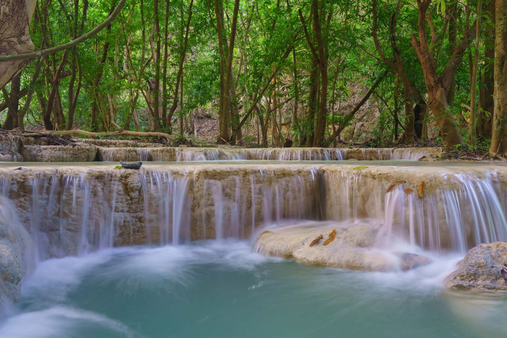 Chute d'eau dans une forêt tropicale profonde