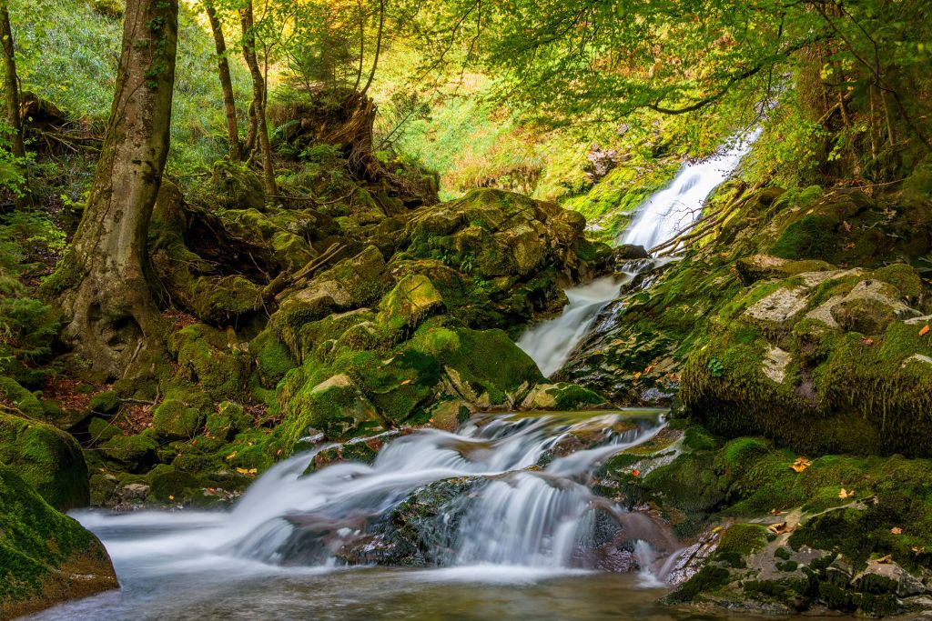 Chute d'eau au milieu de la forêt