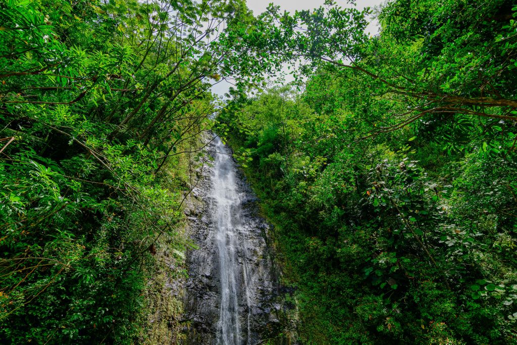 Chute d'eau à Hawaii