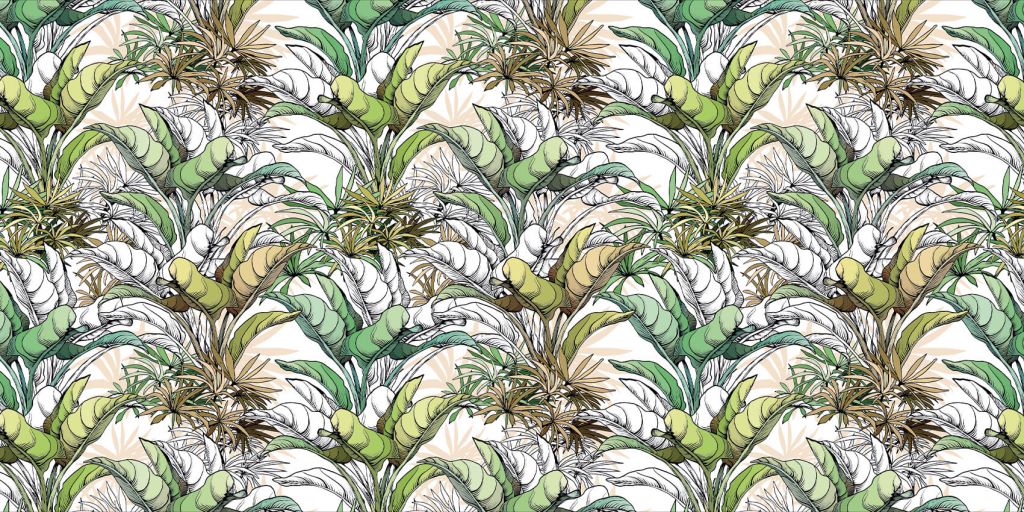 Feuilles tropicales dessinées