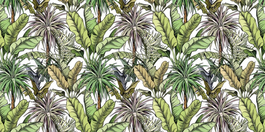 Arbres tropicaux verts