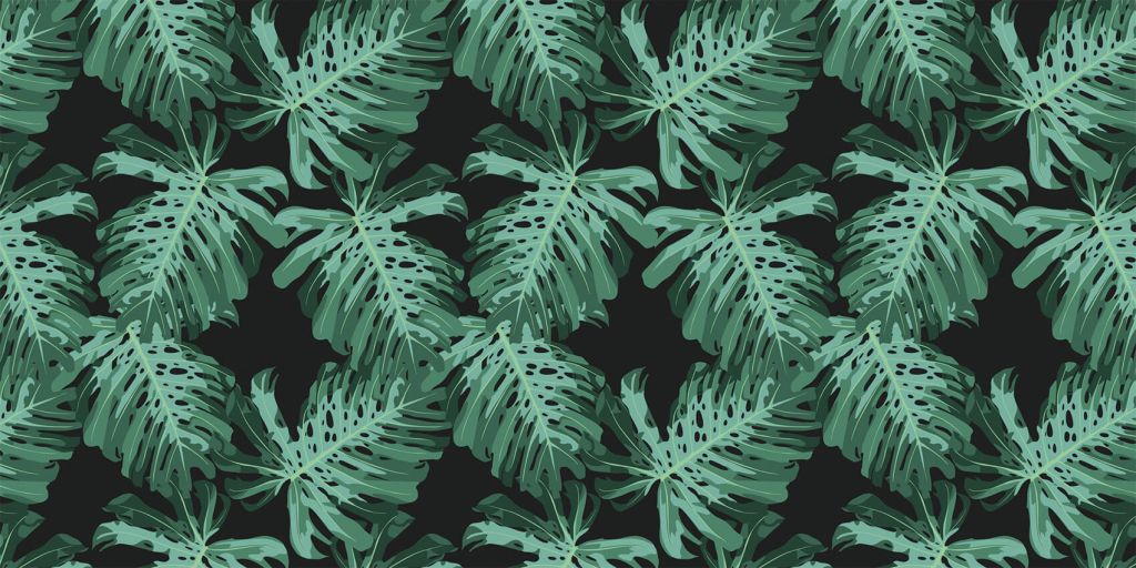 Feuilles de palmier Monstera
