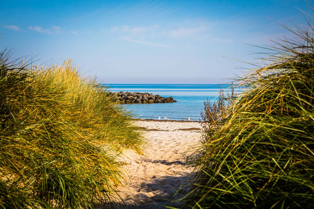 Plage au bord de la mer Baltique