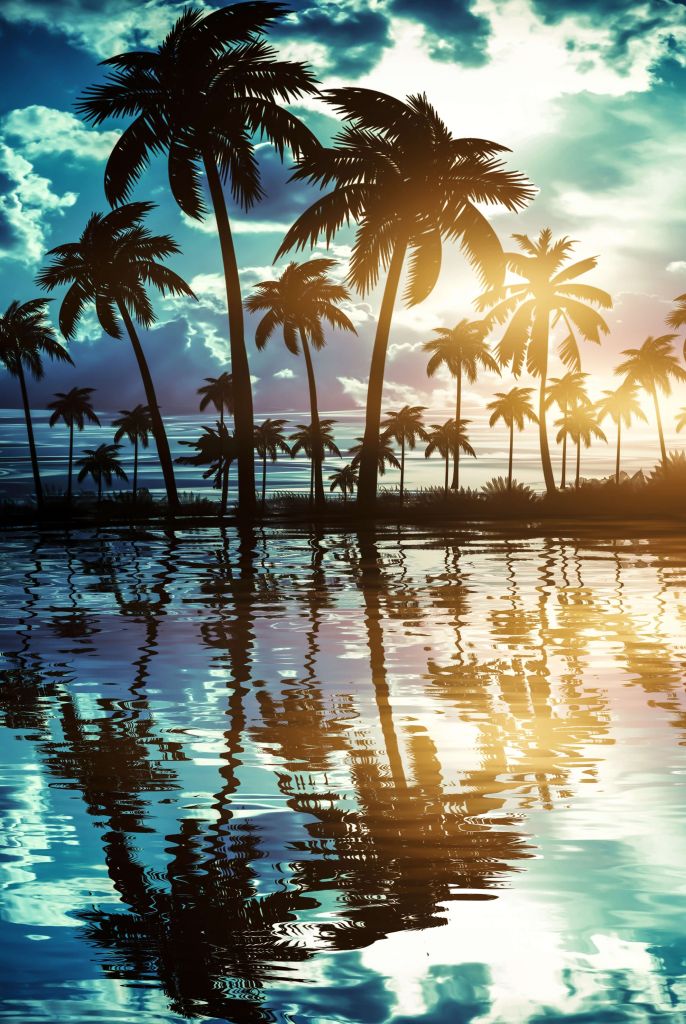 Paysage de nuit avec palmiers
